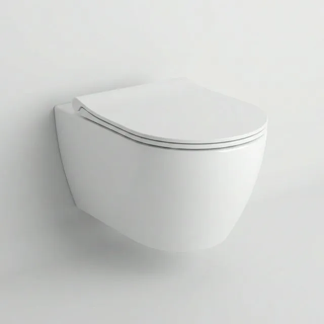 Close Coupled Toilet